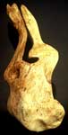 Rare Rabbit