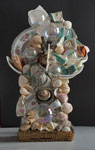 Shells - front view