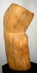 Torso